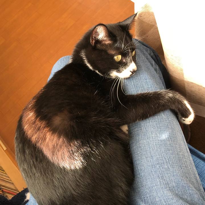 24b12c86 7e91 4e75 bf9c 41036e33f6ac 1573185178831