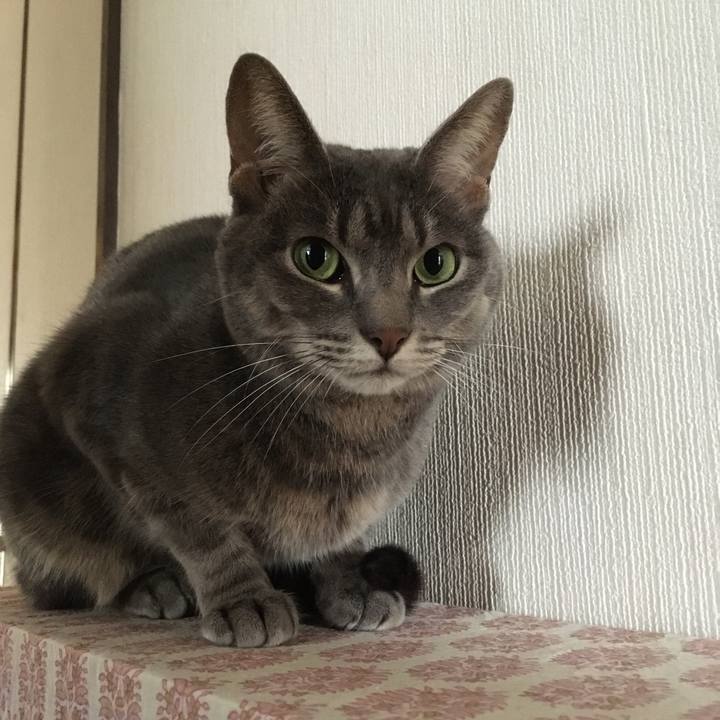 24b16084 6423 46ba a994 658fc253ac2c 1571022528779