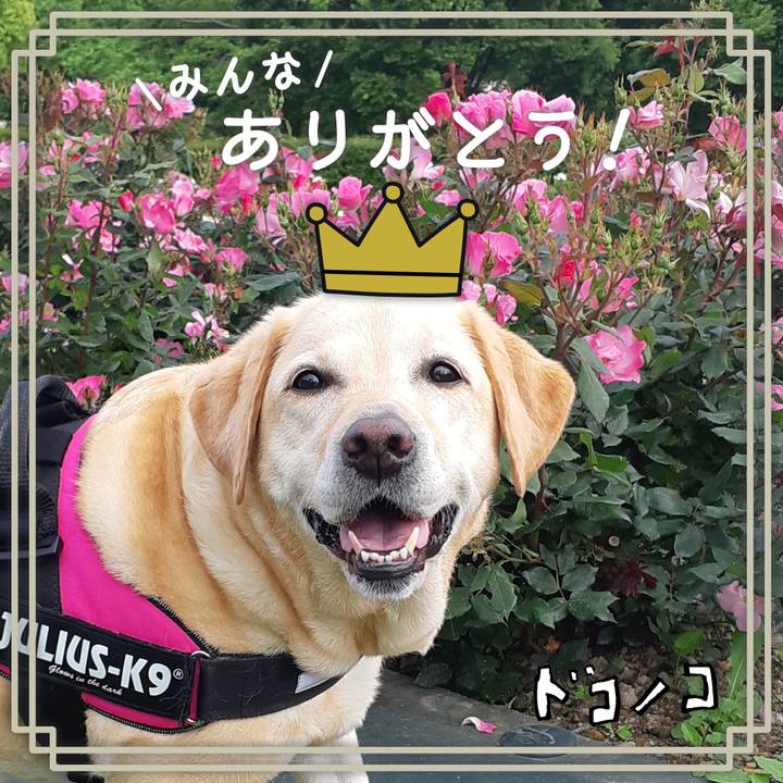 24b16957 99e8 4ee1 bff3 a512510ada1d 1622878279147