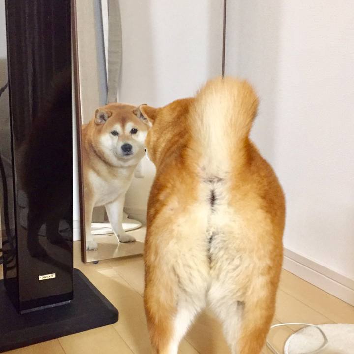 24b17488 1819 44db b6bd 10094bf16ae8 1576578546198