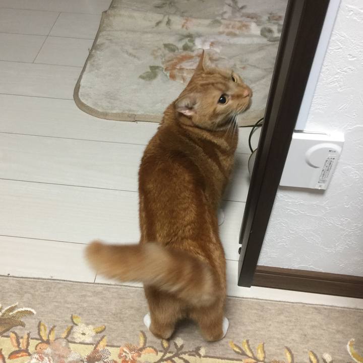 24b1aabc 3d9b 4b76 9d87 5ad8c829e0a4 1582338384793