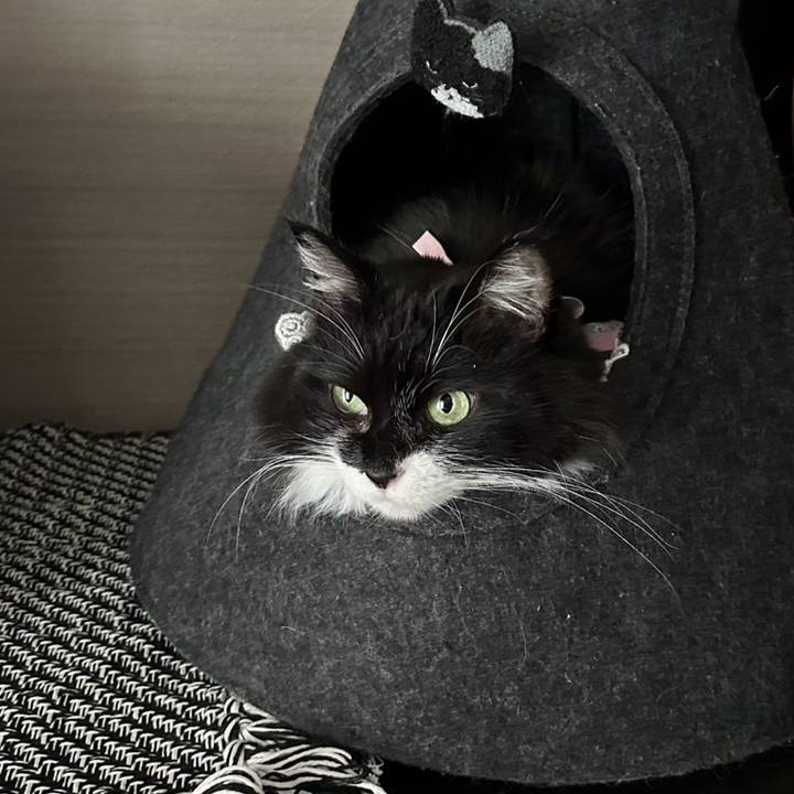 24b1b83f bb51 4891 b59a 3fad684ac3da 1769423445033