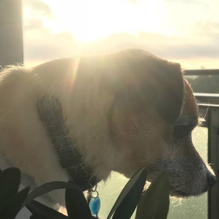 24b1bbb4 40c0 4c51 87c7 76ed50cbe85a 1536445823399