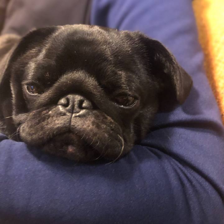 24b1c3b8 c837 4a21 8654 75ced7987b9f 1609979875378