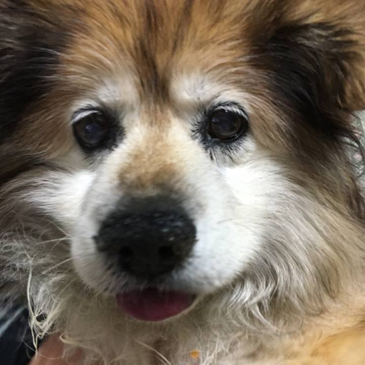 24b1cf37 1277 4de9 8fd6 77c3b3f11d63 1555719764711