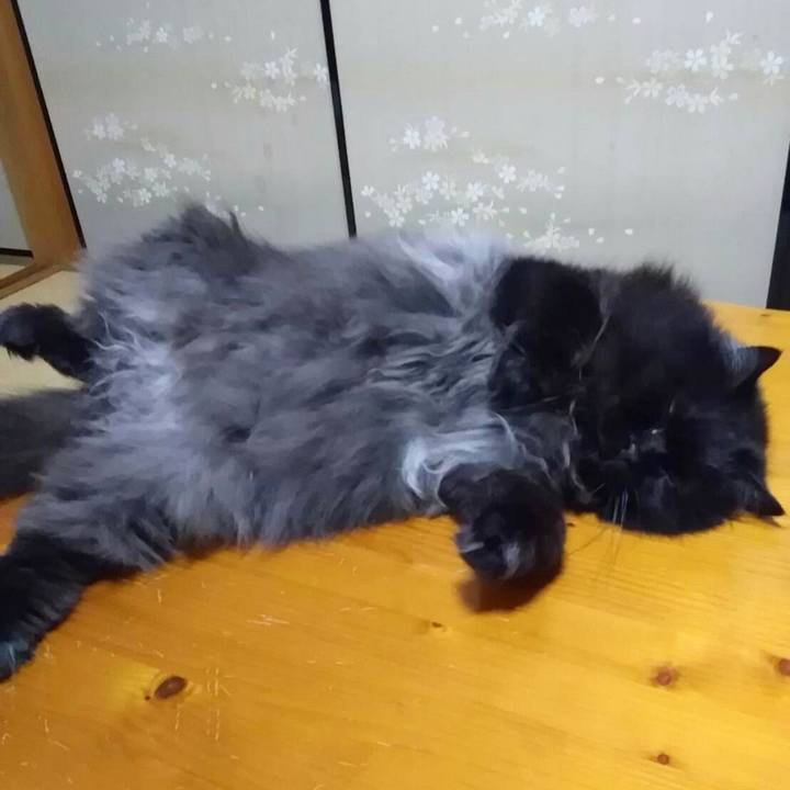 24b1d074 4825 4193 be87 f8d765fd28f2 1689581096284