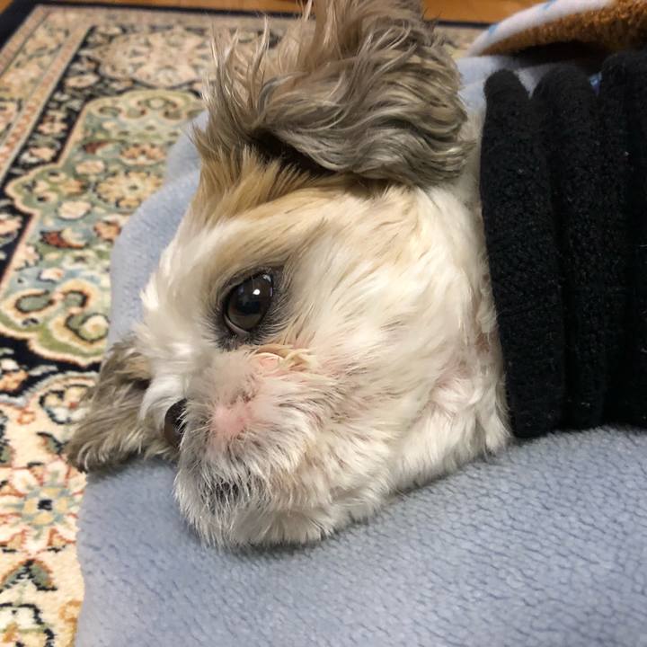 24b1e124 ab45 4142 9771 6cf5109d10b1 1578606306897