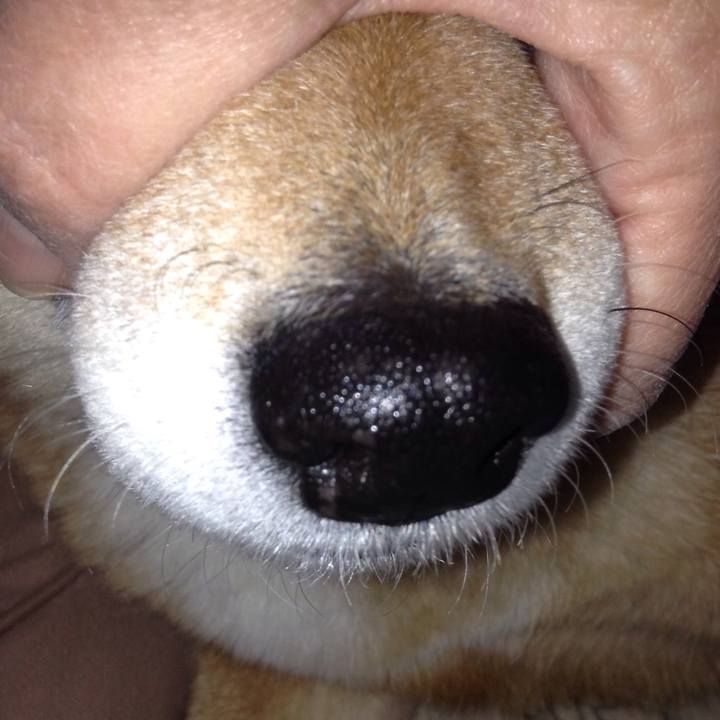 24b1f7d1 2685 42cc 8f65 5ba50b24b86a 1523617564279