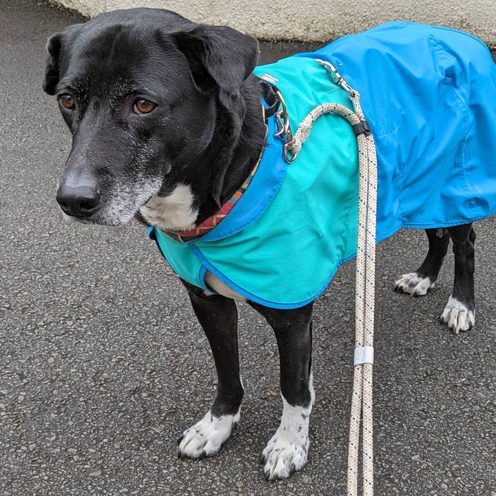 24b21459 64d0 471a 96a4 00d80823123b 1711412641553