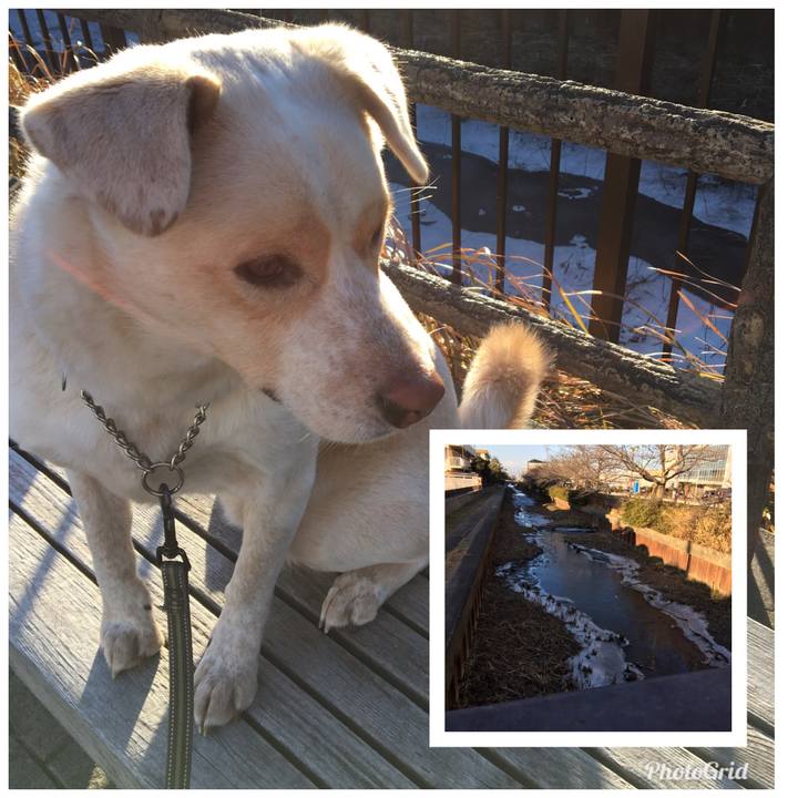 24b2214e 58db 4b5c 9bc2 b2ce9976fcaf 1516851781164