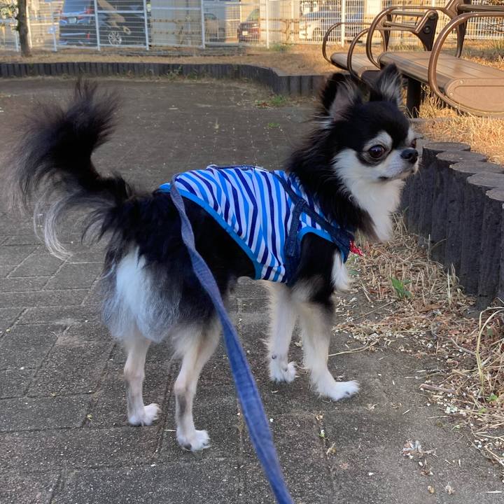 24b2371d 68b5 40a5 9092 10aa8e8c9a17 1690644150476