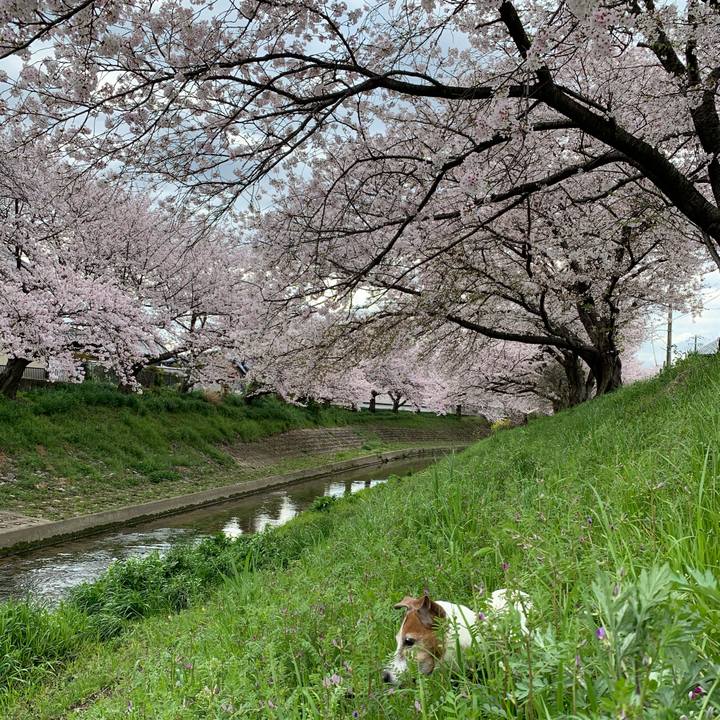 24b28ffb d90b 4917 bcce 8cd4915eaaef 1592228477249