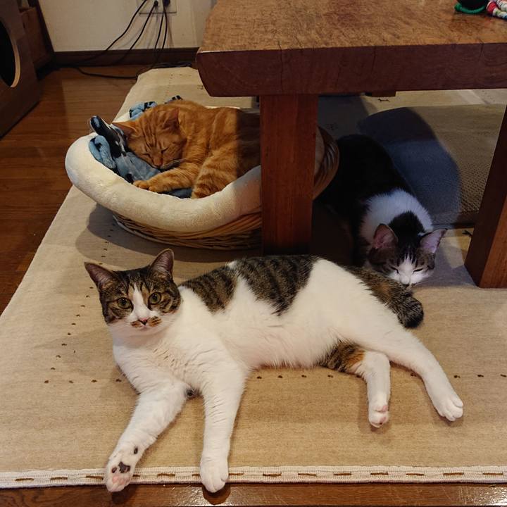 24b29140 cf31 460e b8b3 044d4577cc4f 1609335816425