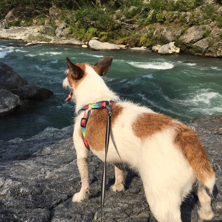 24b294f4 05ae 431b 9c07 41536054d5b5 1597792388205