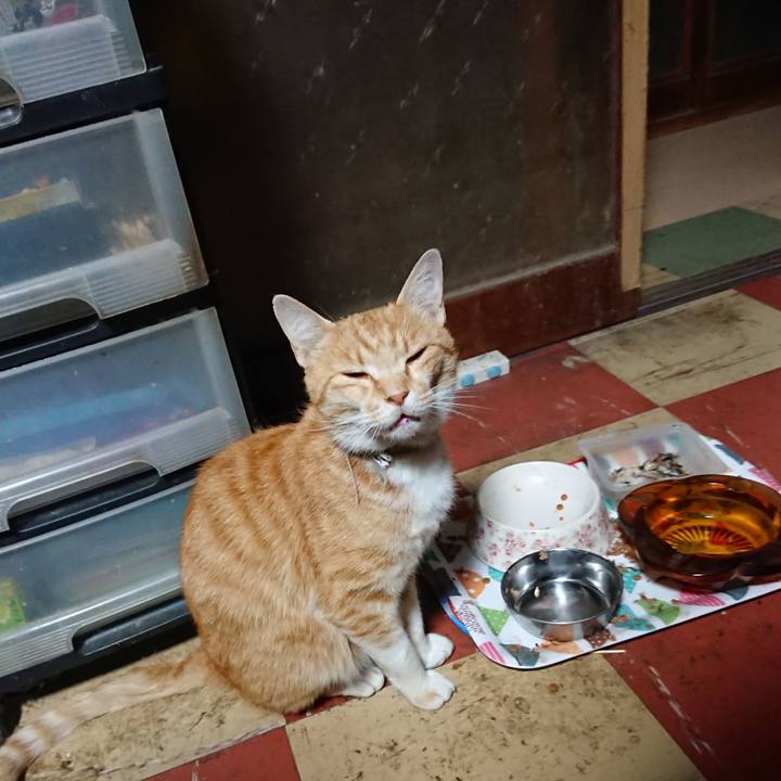 24b2b5ad a70b 40a8 8c12 8b816ade75f3 1591040623054