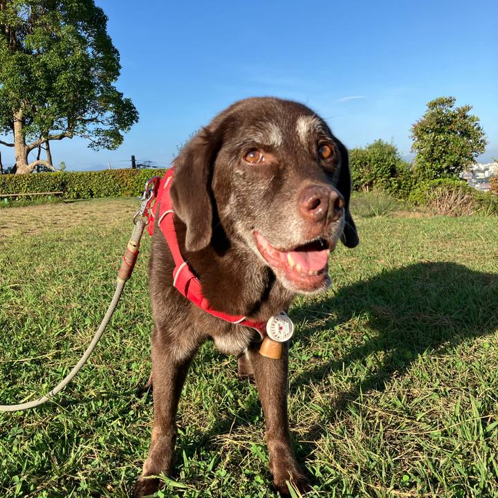 24b2d324 16e4 4c10 bac6 f926a21625cb 1760058661523