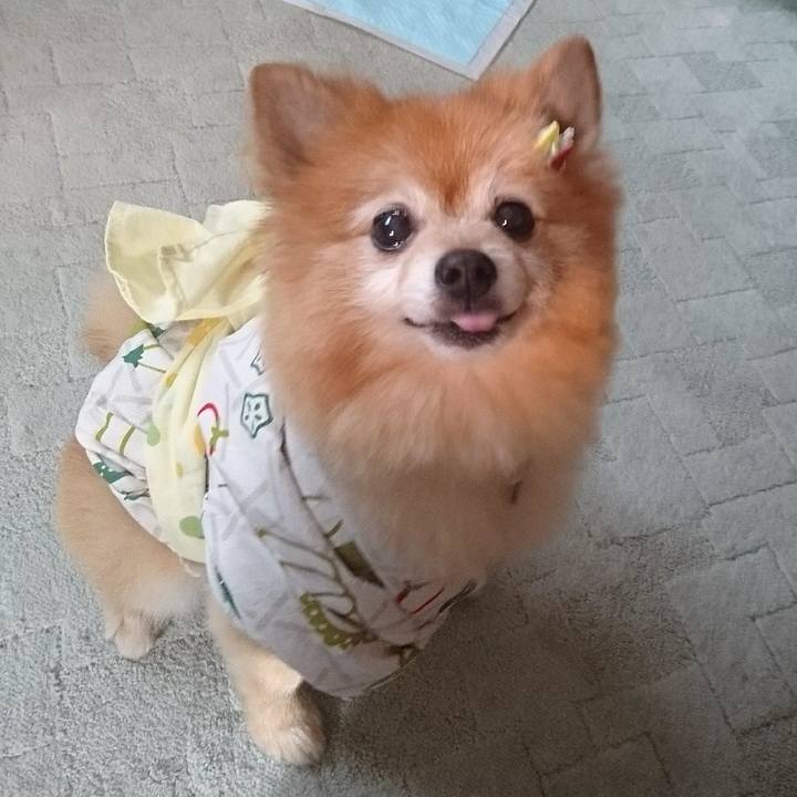 24b2e9a8 d632 48a4 89b0 cb6d0e6486e8 1507901366889