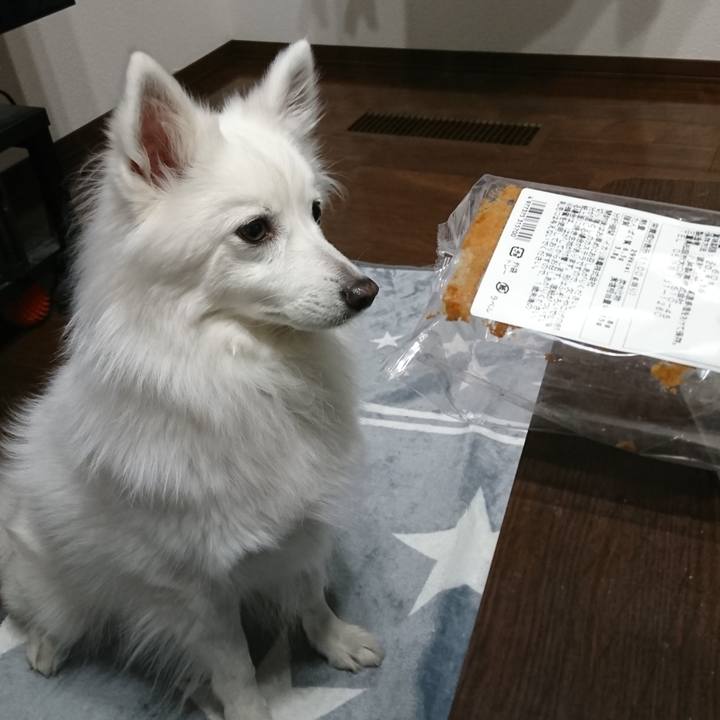 24b374f1 1499 45bc 8d12 e04c2937216d 1588081573614