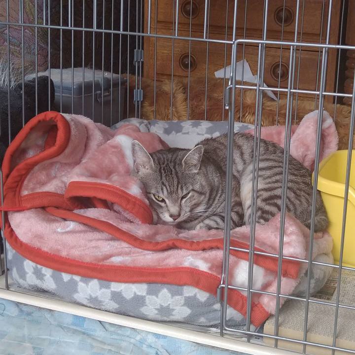 24b3bb84 92dc 40e8 b5b3 f8e6bc6654db 1681373560704