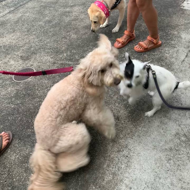 24b43033 7586 4f23 83ae 85f814b9d6fc 1752139387300