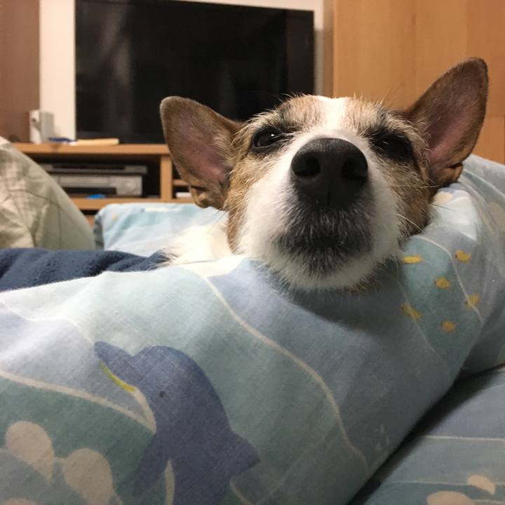 24b49339 8ffb 4457 842a 954826e23e6b 1552655088122