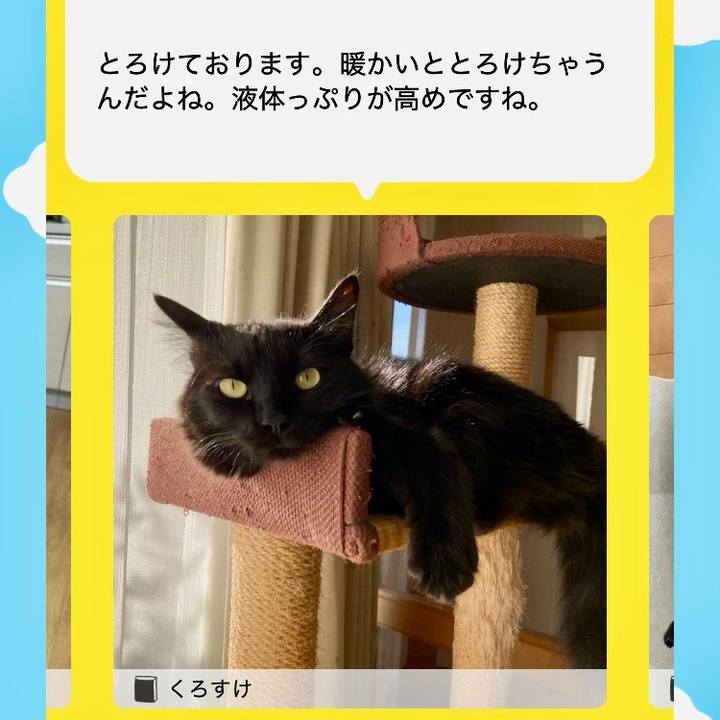 24b49e93 8dbc 4da5 b413 b688d14154bd 1733978382204