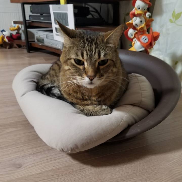 24b4a415 0bc7 46ea 9bb3 000f9f25fcfe 1618170347545