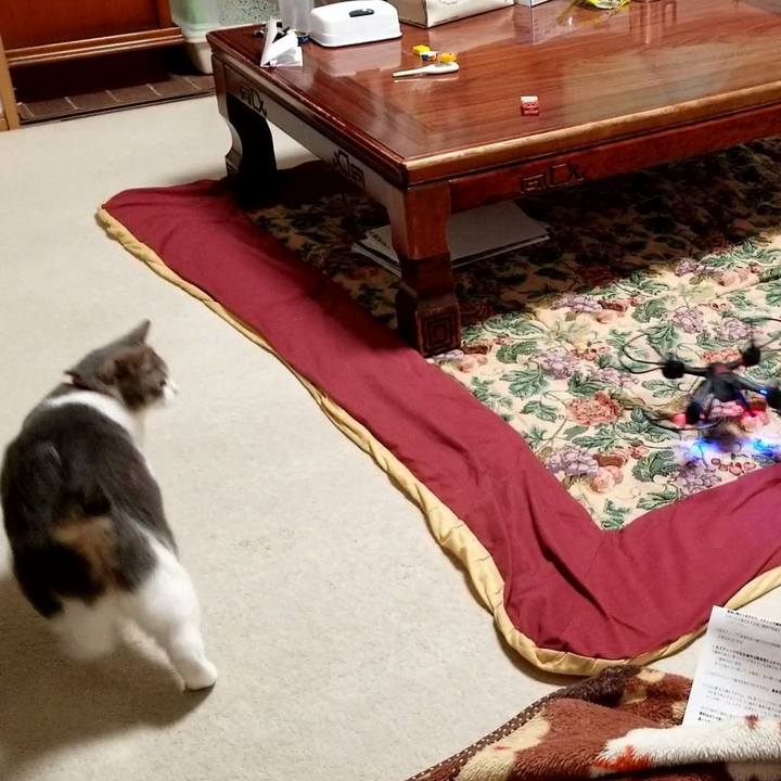 24b4c9f8 dc24 4c9d b729 03343756eaf9 1588947239475