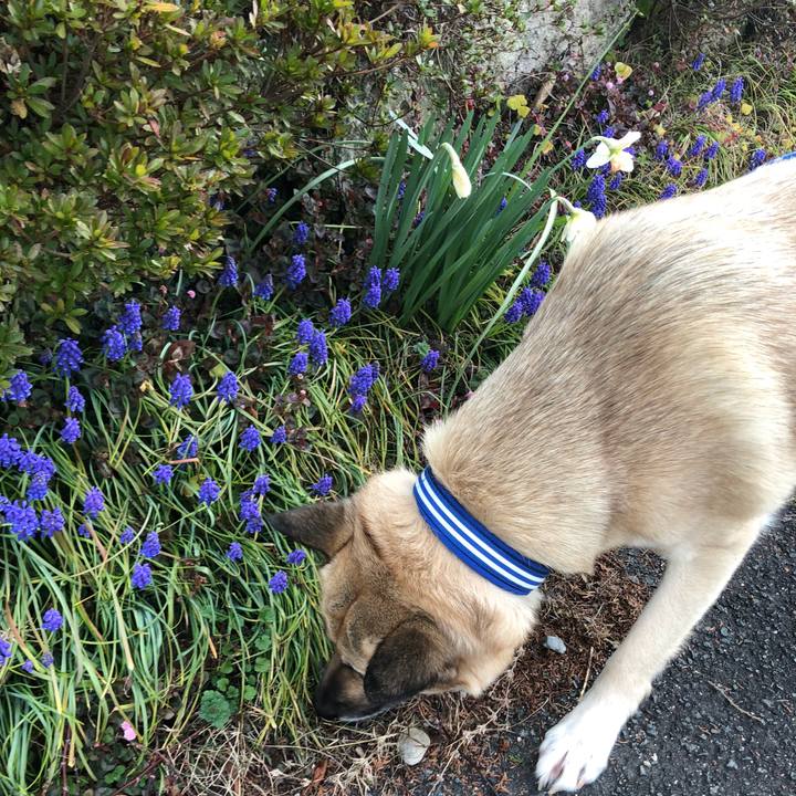 24b4d013 17eb 476e 8f0a 30ff85ec3162 1553506188859