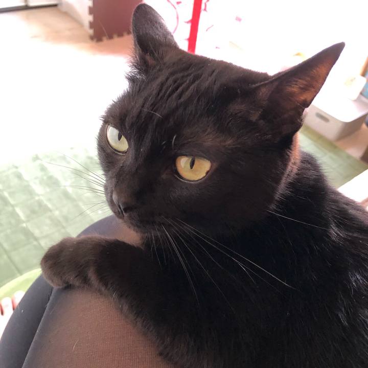 24b4db3c 21e4 4571 9e7b 214f3c30a072 1587798314356