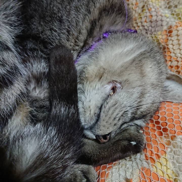 24b4e4f7 d8ae 4f5c ae26 3beb8214aad7 1581512073165