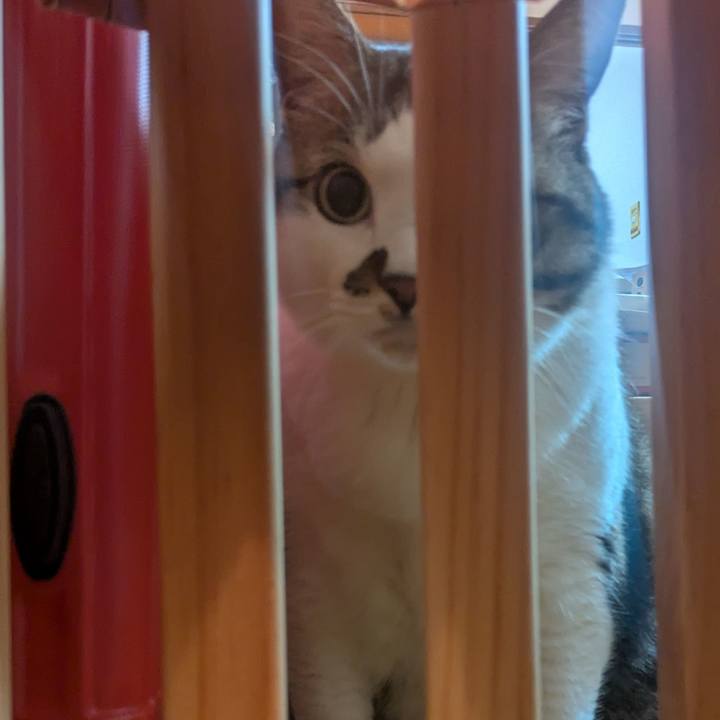 24b4f4c3 9f1d 4ce0 ae44 a46d04898a8f 1772145237892