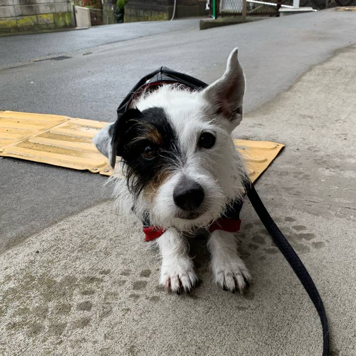 24b502da 2e98 4f15 9934 95a96dcaecb4 1650008179572