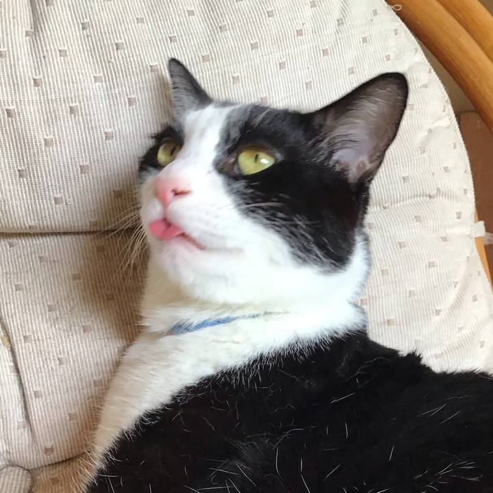 24b5097b 7e46 46fc 85c8 ccab523e226b 1722416266006