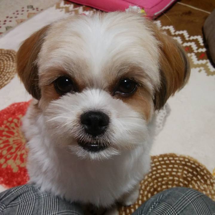 24b50a51 926b 462f 92b1 8cdfe78dfabb 1508571035215