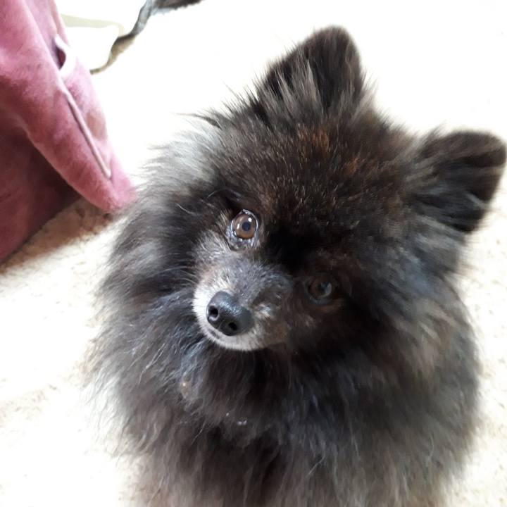 24b54f5a 4722 4e0b bfac 1820b4e5f146 1517786520808