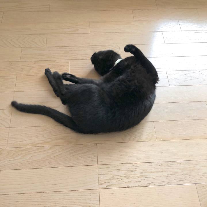 24b57dad cd67 44ef ae03 29ab08c5e76d 1590886287421