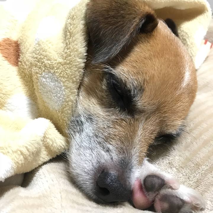 24b58a5f c958 4c32 bb6e 815d53f0ef0b 1515102663644