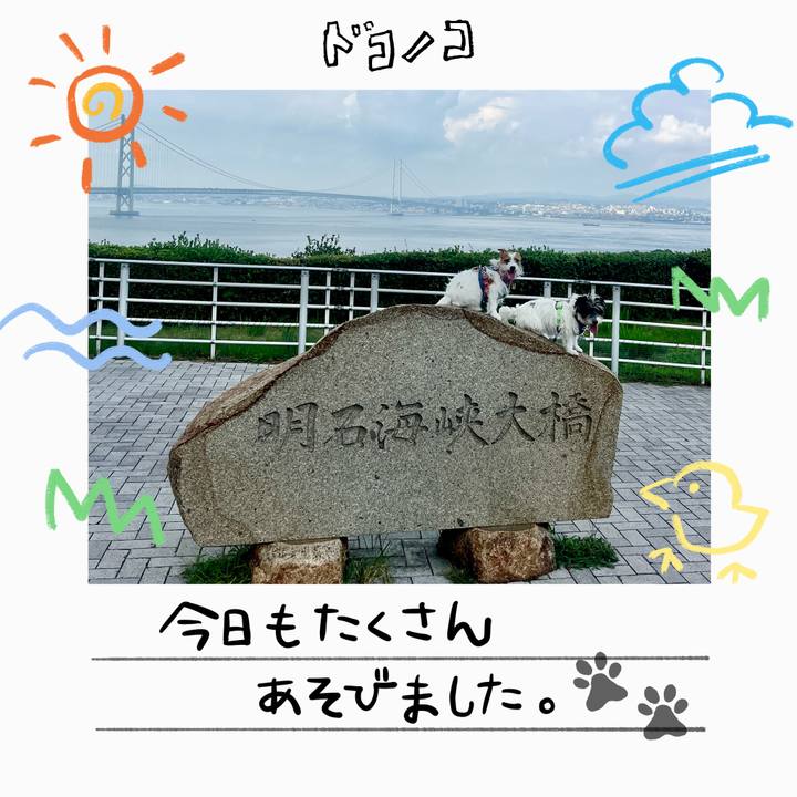 24b5b79c 6092 42d7 aa04 cd8c8831d1e4 1755437190092