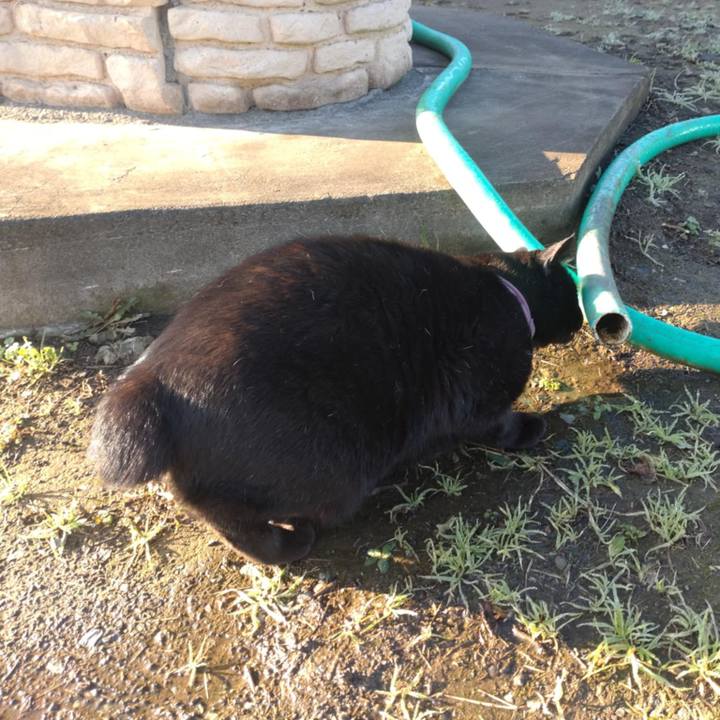 24b6074a 7a46 4926 a20c 7be237e712ea 1732239133235