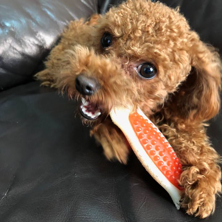 24b62c8e a019 4a1e 8a01 11e1eaf1ed2c 1511910442984