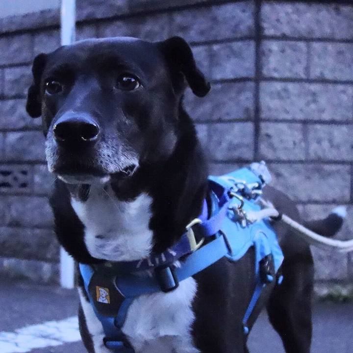 24b635fe 24c5 4542 aa75 0d84eab1ad0f 1683904778204