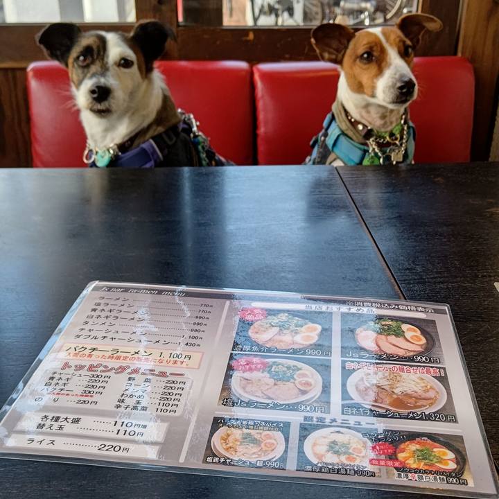 24b63900 9b8a 4b52 9a4d b97586ed85a8 1644036203533