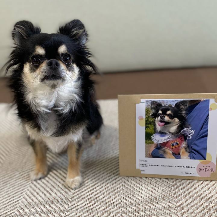 24b6454c 5177 4abc ba74 9e13966cb46c 1656387852541