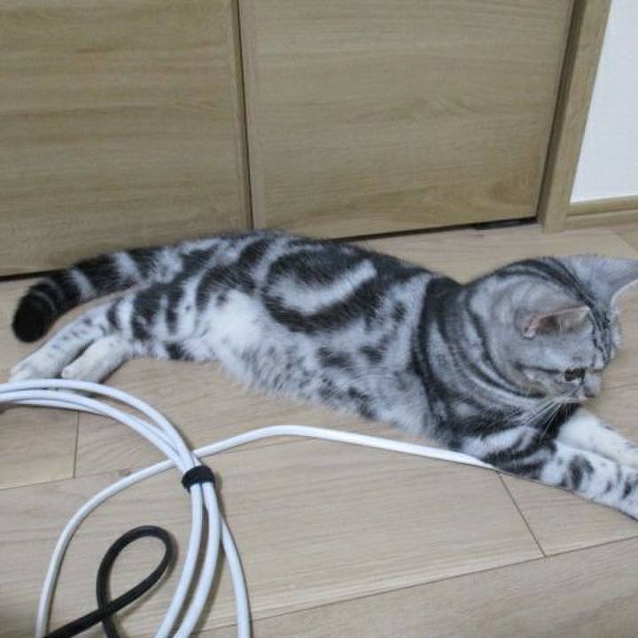 24b6c5ee b0fe 4713 af33 8425db69348e 1538051652199