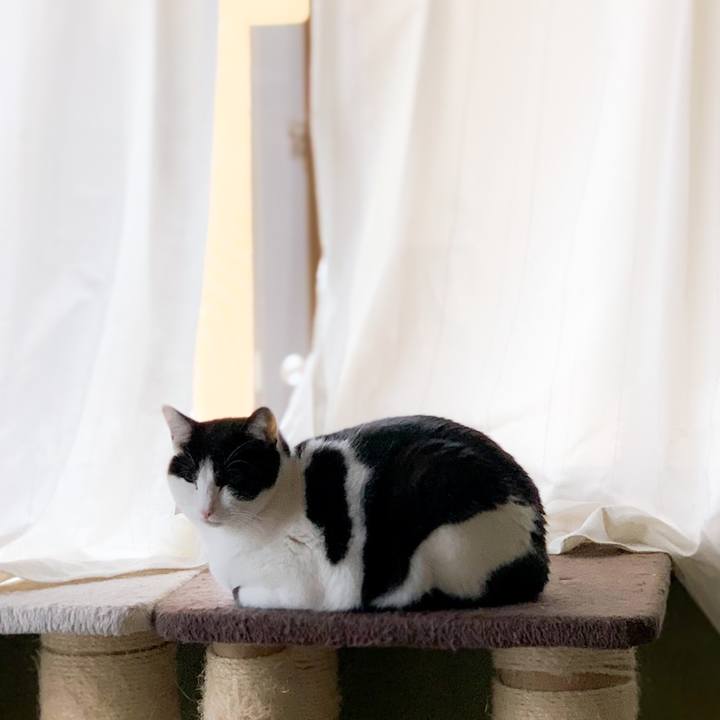 24b6e443 6c3d 4d5b 8219 f3b00b0212f1 1581557168535