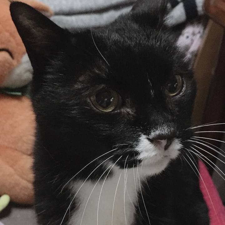 24b6ef59 ae59 4053 81d1 9e3f7bfbfc9c 1579958727258