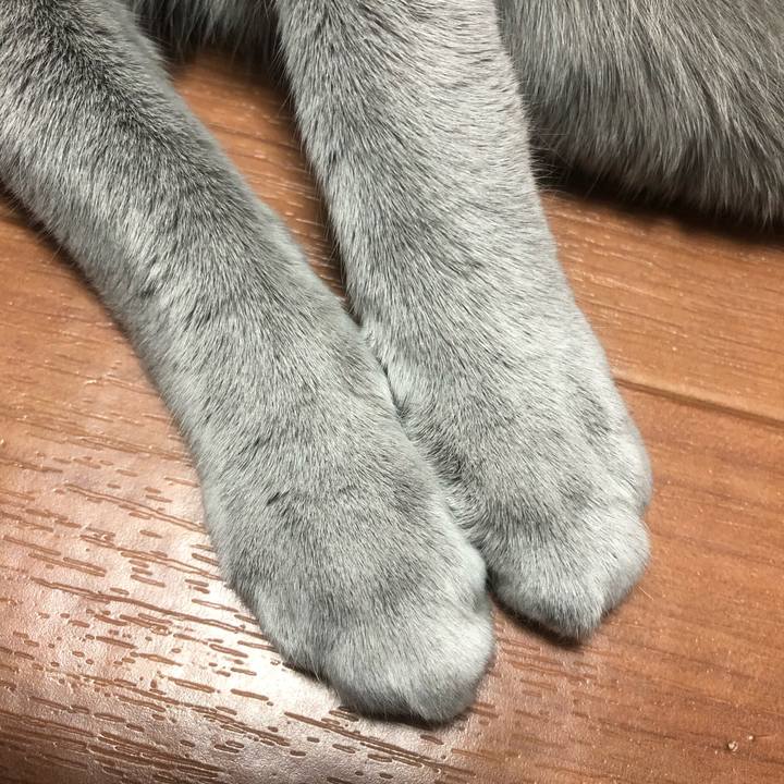 24b70127 d2de 4956 b641 aebc8215426d 1548547346410