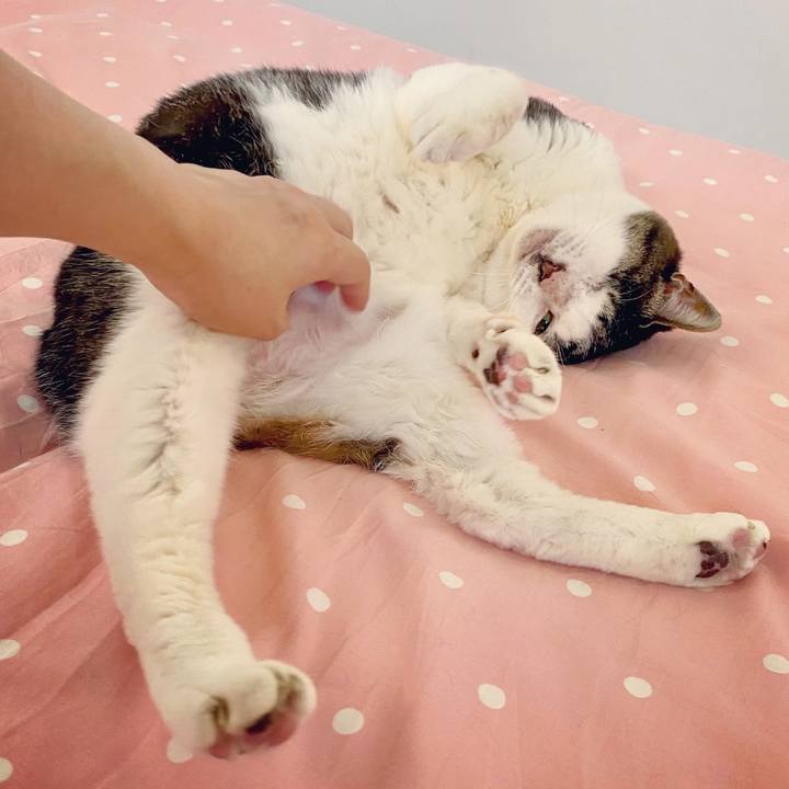 24b70288 c6c0 42e1 9bb7 f8d9f490c60a 1615386406464