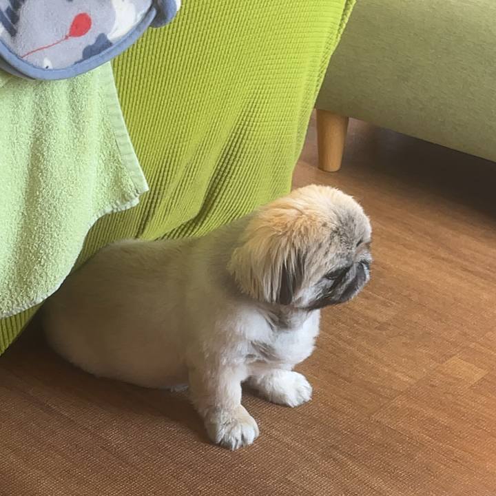 24b70d78 08c6 45f2 86f4 58d4ffafd132 1717299783049